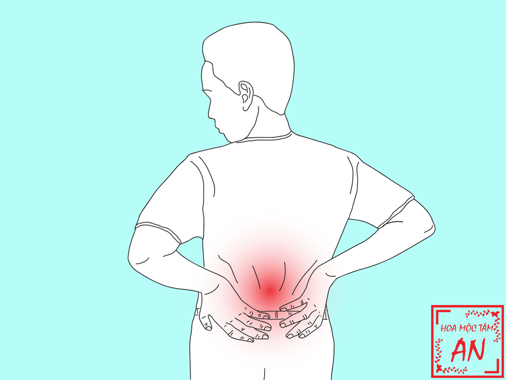 Vùng lưng eo thường hay đau mỏi Vùng lưng eo thường hay đau mỏi