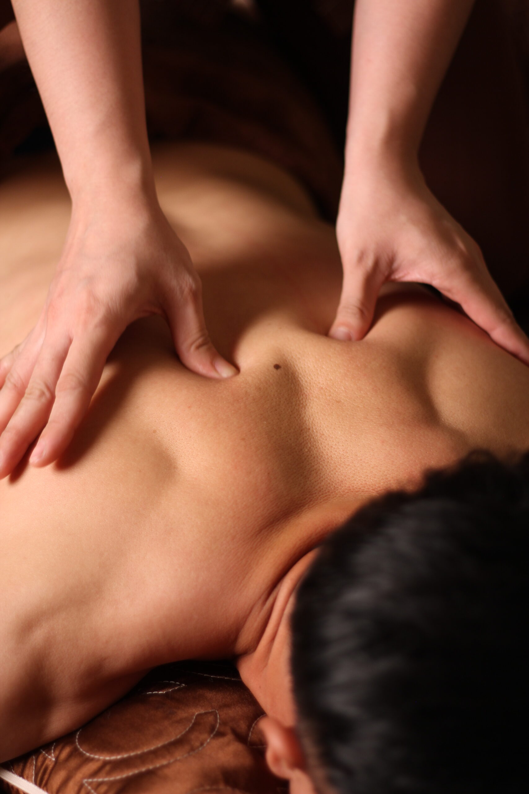 spa-body-area-scaled.jpg